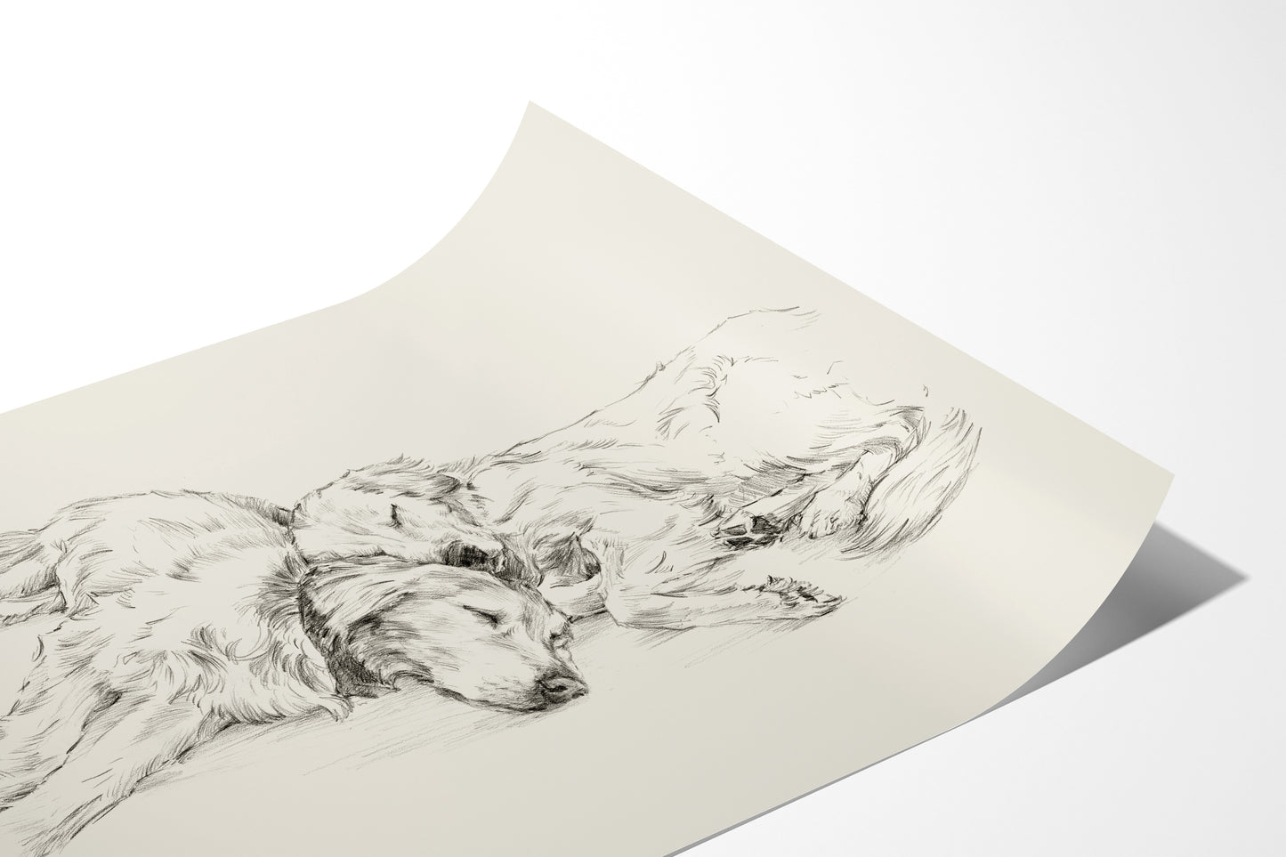 Golden Retriever Drawing Fine Art Print by Artist, Ethan Harper. Artwork for Dog Lovers.