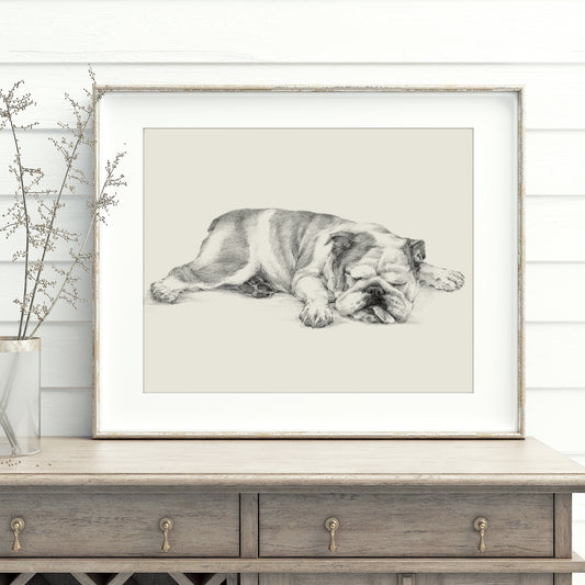 English Bulldog Sketch Art Print