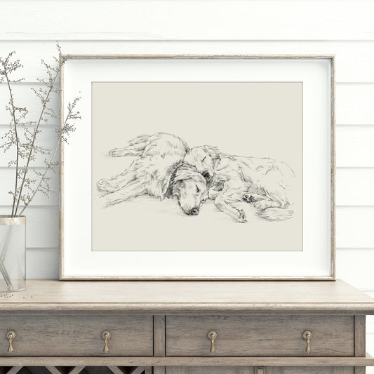 Golden Retriever Drawing Fine Art Print by Artist, Ethan Harper. Artwork for Dog Lovers.