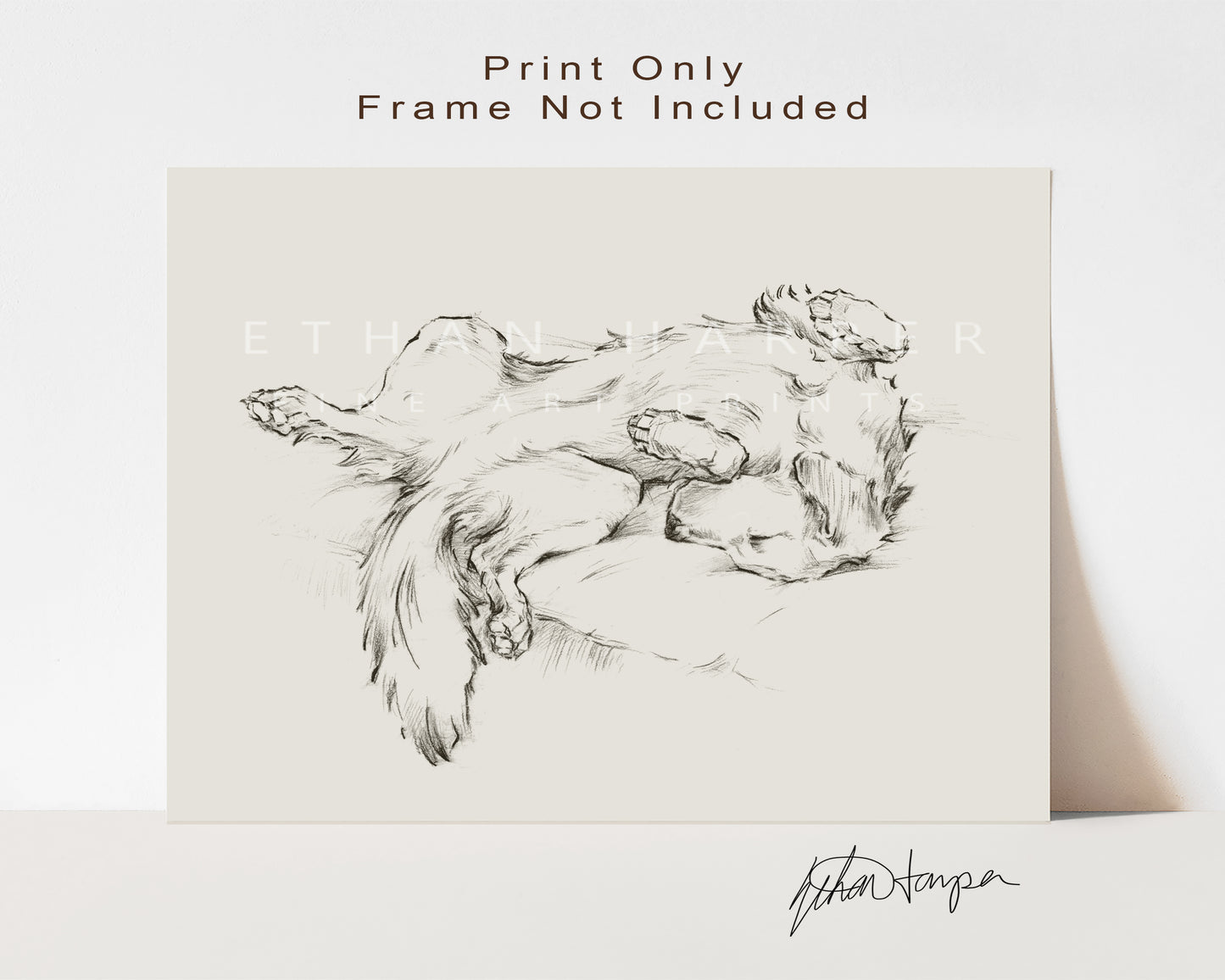 Golden Retriever Drawing Fine Art Print by Artist, Ethan Harper. Artwork for Dog Lovers.