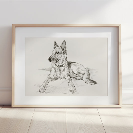 German Shepherd Fine Art Print