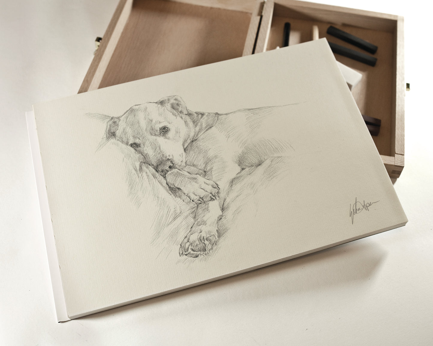 Custom Original Pet Portrait Graphite Drawing