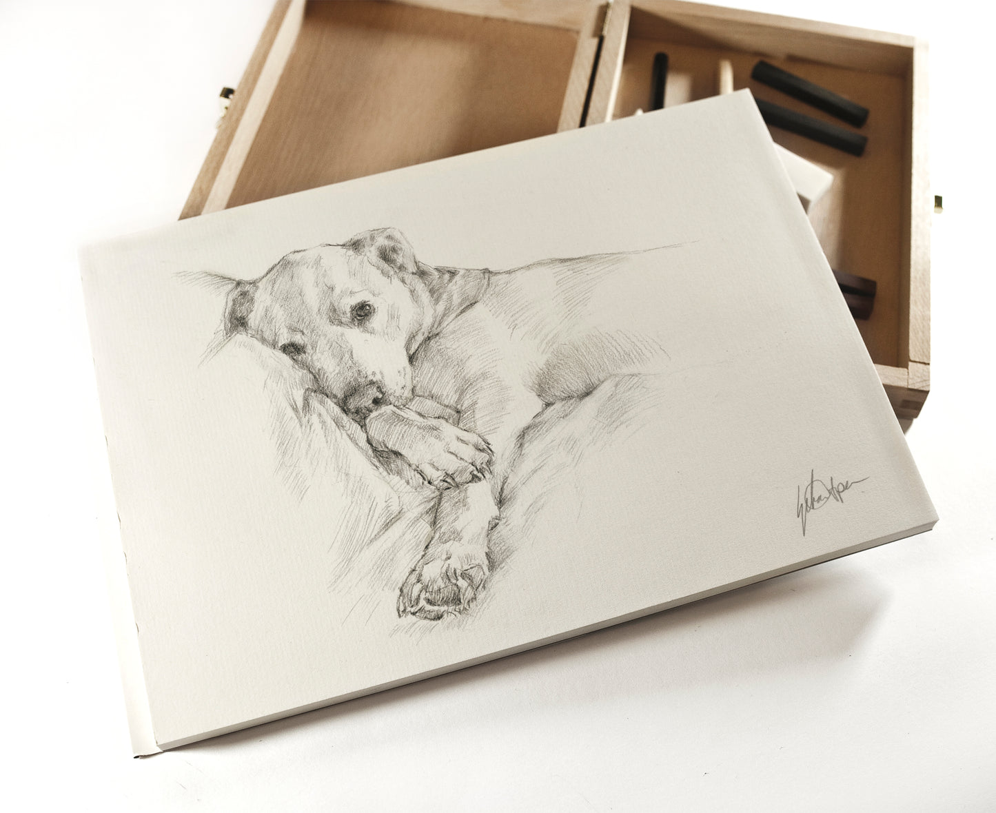 Custom Original Pencil Drawing