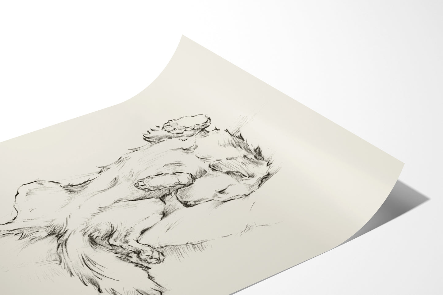 Golden Retriever Drawing Fine Art Print by Artist, Ethan Harper. Artwork for Dog Lovers.