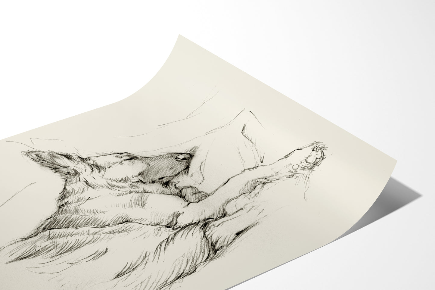 German Shepherd Fine Art Print